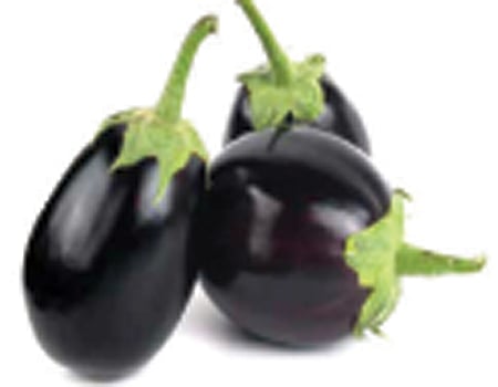 காய்கள் கெடாமல் பாதுகாக்க...