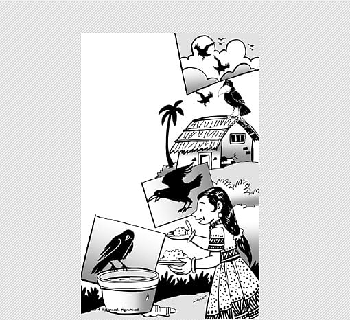 காகமும் தாகமும்!