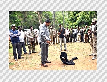 பாம்புக்குக் காது கேட்காது!