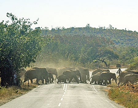நியூட்ரினோ- 3 : பூகோளமயமான அம்சம் கொண்ட மேற்குத் தொடர்ச்சி மலை 
