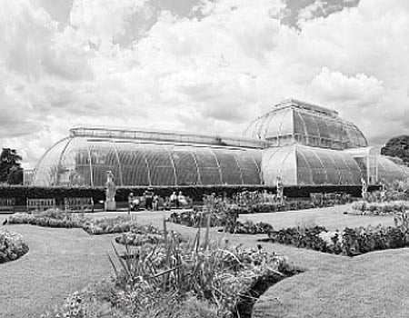 உலகப் பெருந்தோட்டம்!