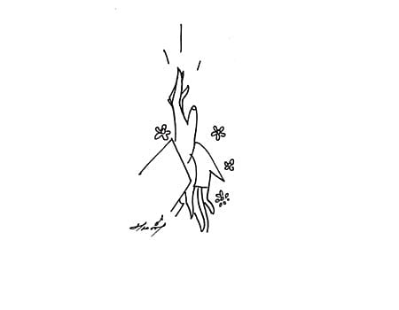 விவேகாநந்தர் பொன் மொழிகள்