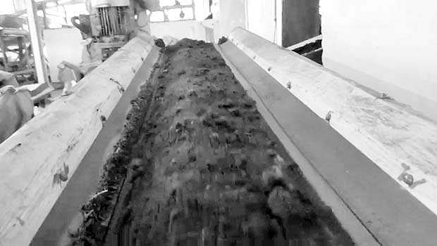 கழிவுகள் மூலம் தேயிலைத் தூள் உற்பத்தி