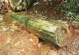 திருவக்கிரை