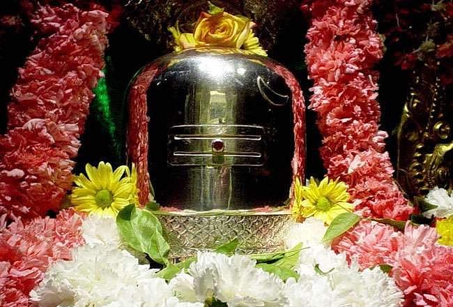 பஞ்சாட்சரனைப் பணிந்தால் பாவங்கள் விலகும்.