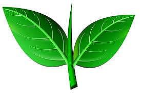 சின்னம் முடக்கம் யாருக்கும் பின்னடைவு அல்ல; இருவருக்கும் கிடைத்த சம வாய்ப்பு