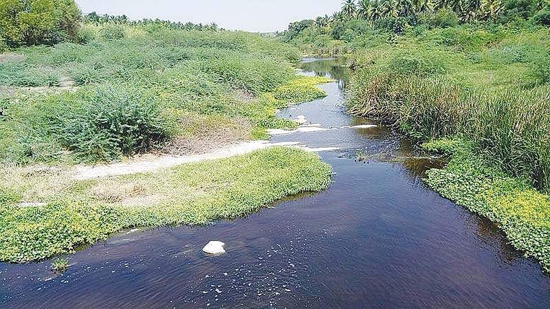 உள்ளாட்சிகளால் மாசுபடும் நீர்நிலைகள்