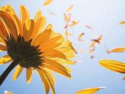 ஆனந்த தேன்காற்று தாலாட்டுதே- 2!