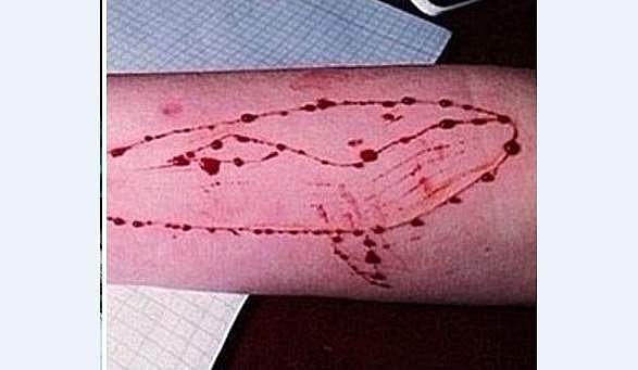 பதற வைக்கும் ப்ளூ வேல் தருணங்கள்: மீட்கப்பட்ட காரைக்கால் இளைஞரின் பயங்கர அனுபவங்கள்!  