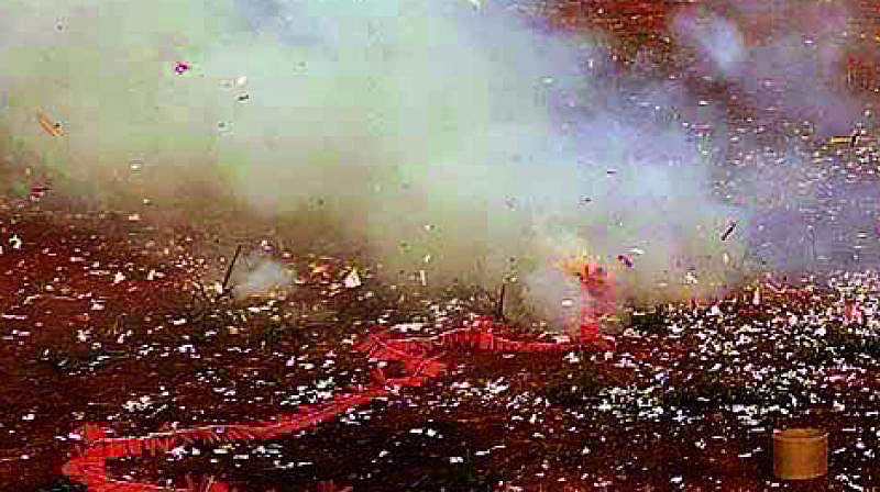 பட்டாசுத் தடை - உச்ச நீதிமன்ற இடைக்காலத் தீர்ப்பில் அலசப்பட்ட பாதிப்புகள்!