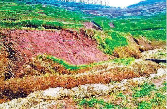 கஜா புயல் : கொடைக்கானல் மேல்மலையில் 5 ஆயிரம் ஏக்கரில் பயிர்கள் சேதம்: மண் திட்டுகளை சீரமைக்க நிவாரணம் வழங்க கோரிக்கை