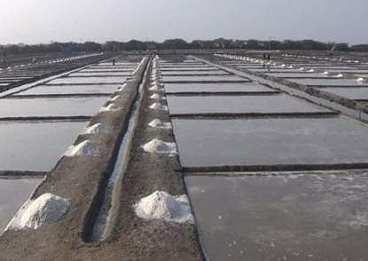 வேதாரண்யத்தில் நிகழாண்டு உப்பு உற்பத்தி தொடக்கம்: கொள்முதல் விலை குறைவால் பணிகள் சுணக்கம்