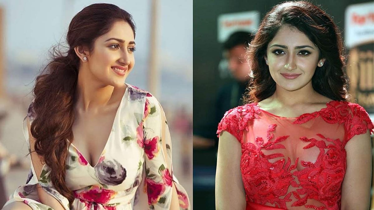 வைரலாகும் நடிகை சாயிஷாவின் அண்மைப் புகைப்படங்கள்!