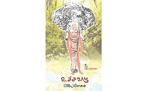 உச்ச வழு