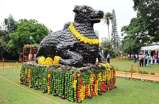 கோத்தகிரியில் 10-வது காய்கறி கண்காட்சி இன்று தொடங்கியது 