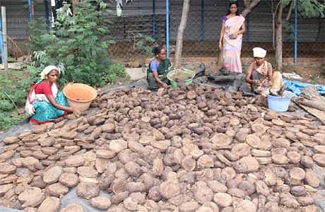 பசுக்களின் சாணம், கோமியம் மூலம் பல்பொடி, சோப்பு தயாரிப்பு !: பூண்டி அருகே பெண் சாதனை