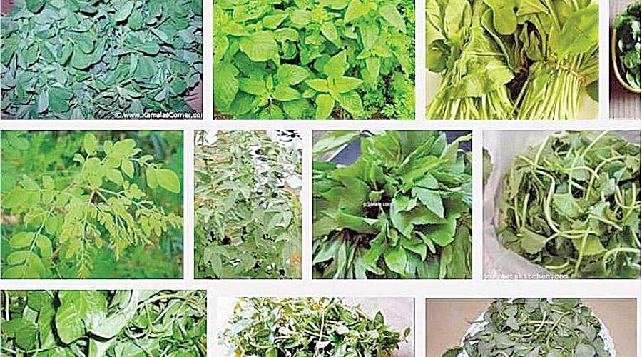 கீரை : கவனிக்க வேண்டியவை!