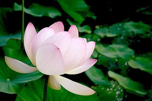 14. நல்ல கற்பனை தீய கற்பனை