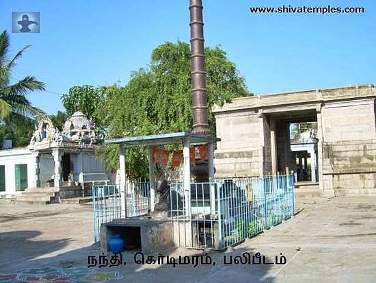 திருமணத் தடை நீங்க, புத்திர பாக்கியம் கிடைக்க சிஷ்டகுருநாதர் கோவில், திருத்துறையூர்