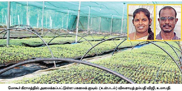 பசுமைக்குடில் அமைத்து காய்கறி, பூக்கள் சாகுபடி