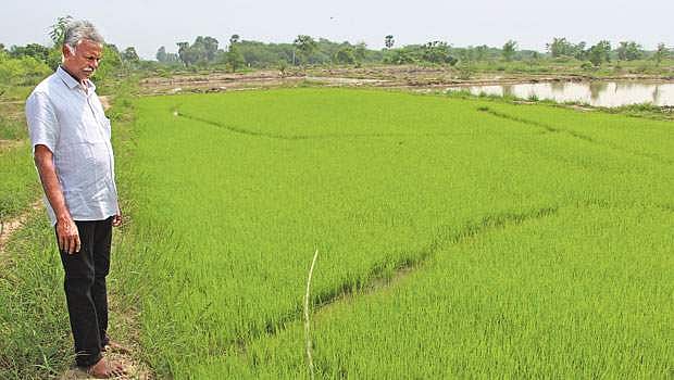 வறண்ட பூமியை வளமாக்கும் விவசாயி