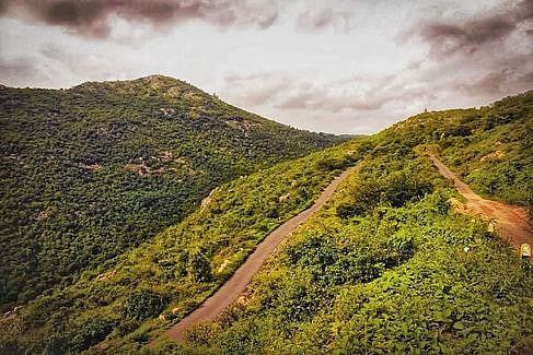 சுற்றுலாப் பயணிகளைக் கவா்ந்த வத்தல்மலை: அரசு அறிவித்தப்படி தாவரவியல் பூங்கா, பேருந்து வசதி தேவை