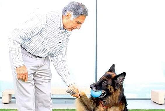 இறந்து விட்ட ஜெர்மன் ஷெப்பர்டு நாய்க்காக இன்ஸ்டாகிராமில் நெகிழ்ந்த  இந்தியத் தொழிலதிபர்!