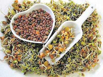 உணவும் உள்ளமும்