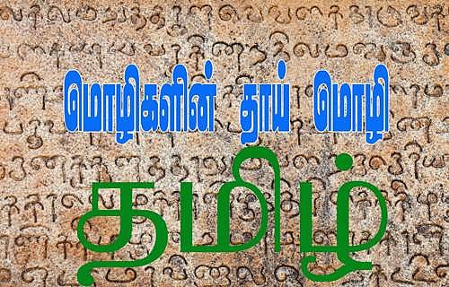வாய்மொழியில் உள்ளது தாய்மொழி வளர்ச்சி