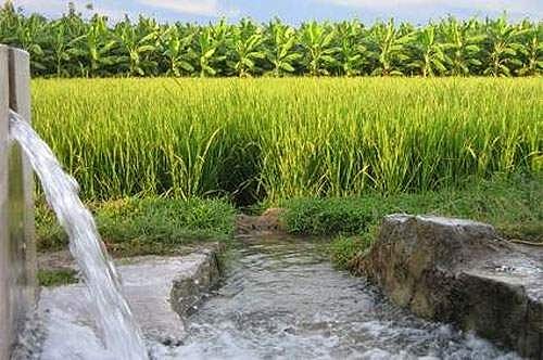 மேல்நிலை வகுப்பில் வேளாண்மை தொழிற்கல்வி படிப்பு சீரமைக்கப்படுமா?