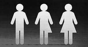 பாலினத்தைச் சொல்லாமல் குழந்தை வளர்ப்பு என்பது இந்தியாவில் சாத்தியமா?