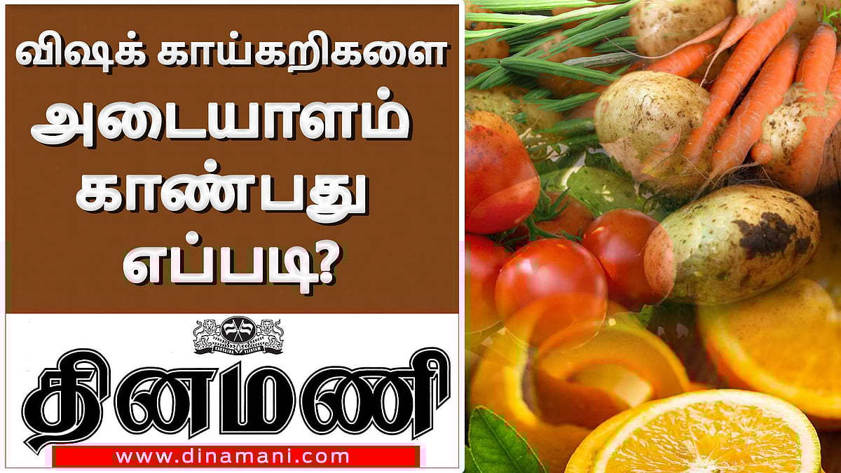 தரமற்ற காய்கறி, பழங்களில் இருந்து எஸ்கேப் ஆவது எப்படி?