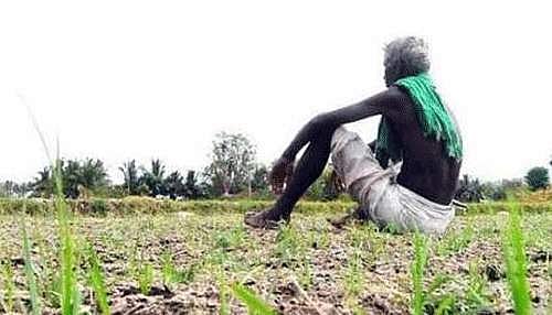 விடுதலை செய்யும் ஒன்றாகட்டும் இயற்கை விவசாயக் கொள்கை!