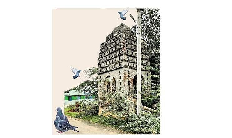 200 ஆண்டுகள் பழைமையான புறாக்கள் சரணாலயம்: பின்பற்றத்தக்க பறவைநேய மாதிரி!