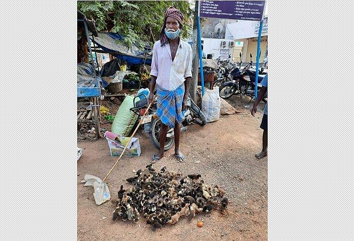 வாழப்பாடி பகுதியில் வாத்துக்குஞ்சுகள் விற்பனை அமோகம்