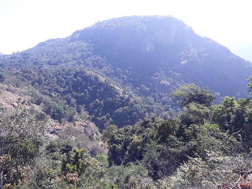 சேந்தமங்கலம்(தனி): பழங்குடியின தொகுதியில் அதிமுக கரம் ஓங்குகிறது?