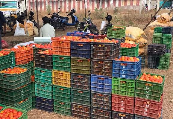 ஊரடங்கு: காய்கனி சாகுபடியில் ஆர்வம் காட்டாத விவசாயிகள்