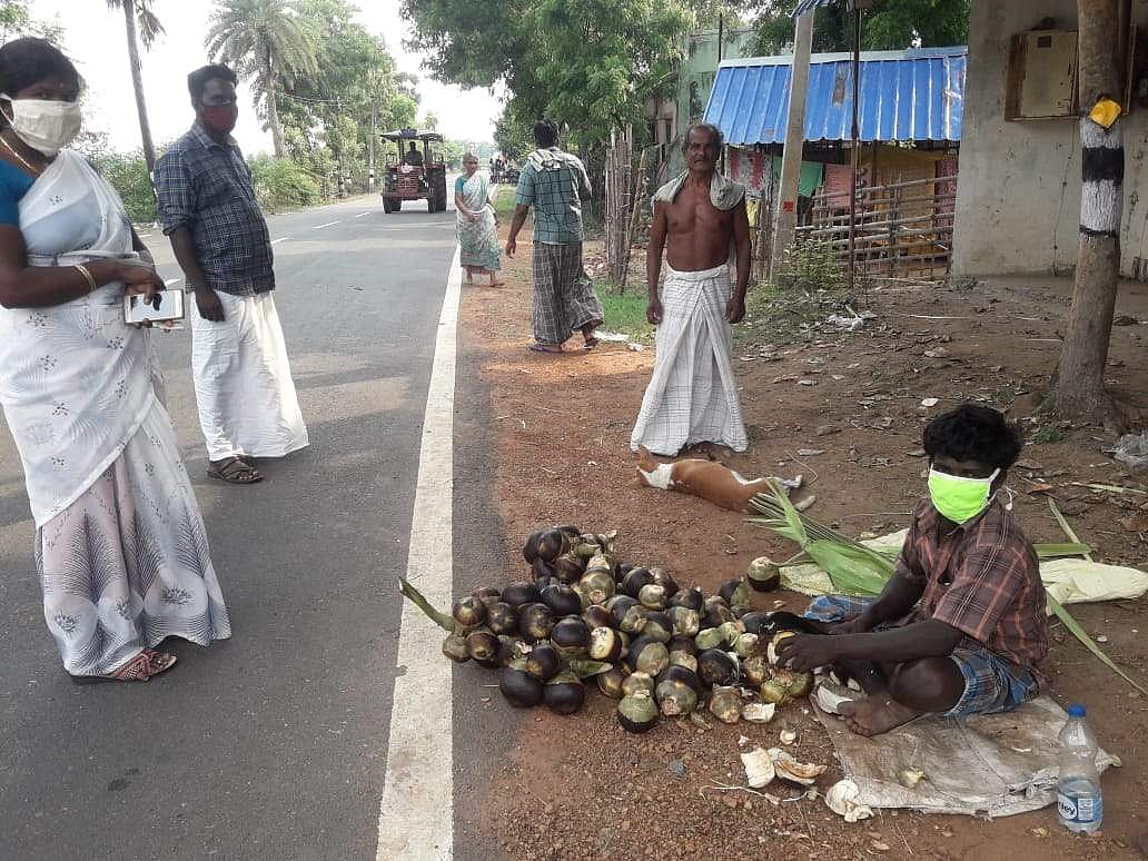 கோடை: முகக்கவசம் அணிந்து நுங்கு விற்பனை