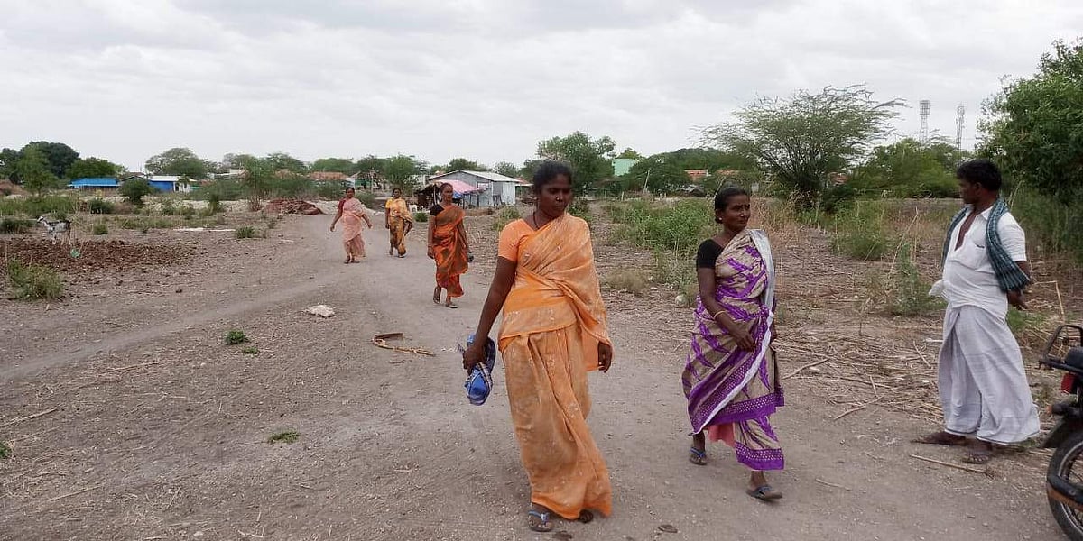 சாலை வசதியில்லா மாதலப்புரம் அருந்ததியர் காலனி குடியிருப்பு