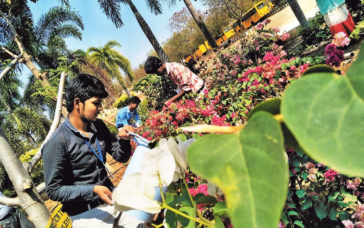 சூழலியல் விழிப்புணர்வு... ஒரு தொடர் ஓட்டம்!