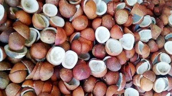 வெள்ளக்கோவிலில் ரூ.34.75 லட்சத்துக்கு தேங்காய் பருப்பு விற்பனை