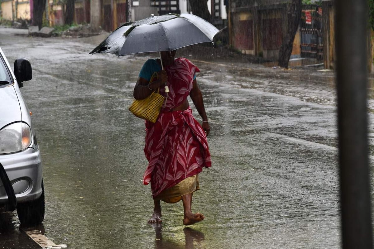 தமிழகத்தில் 10 மாவட்டங்களில் காலை 10 மணி வரை மிதமான மழைக்கு வாய்ப்பு!