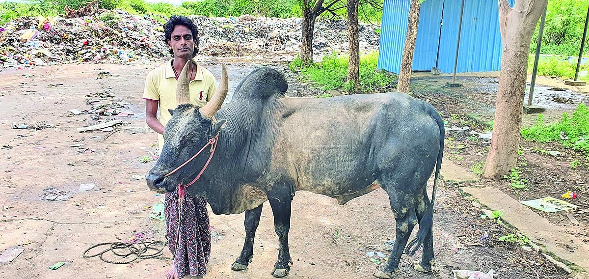 'கருப்பு'  வந்த நேரம்   வாழ்க்கையில் வெளிச்சம்!
