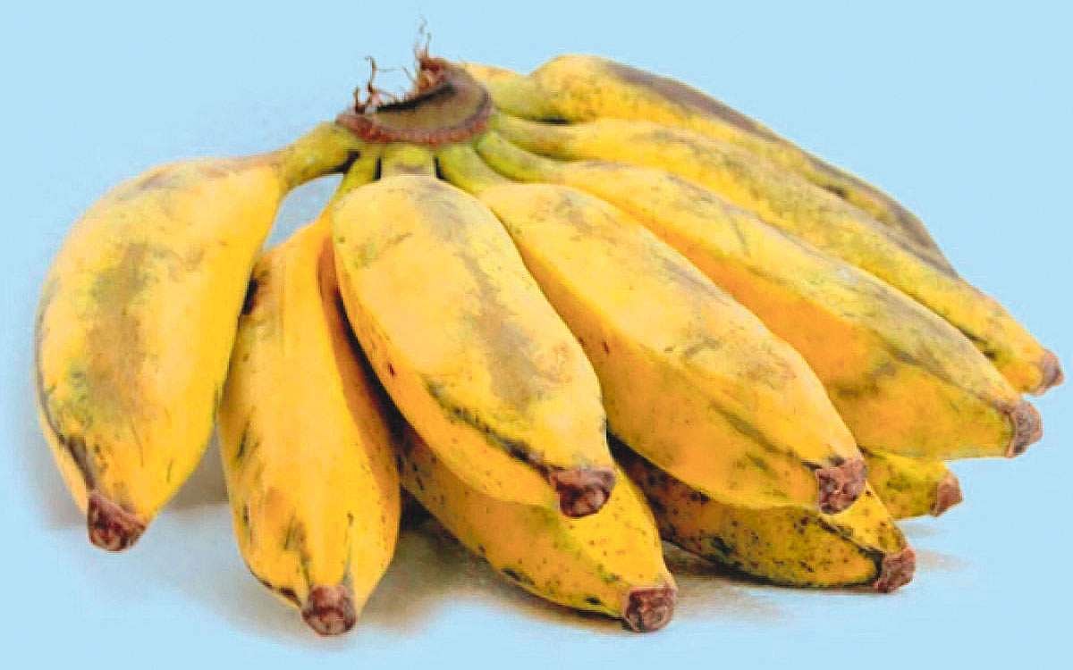 ஆயுள் காக்கும் ஆயுர்வேதம்: சர்க்கரை நோய்... வாழைப்பழம்!