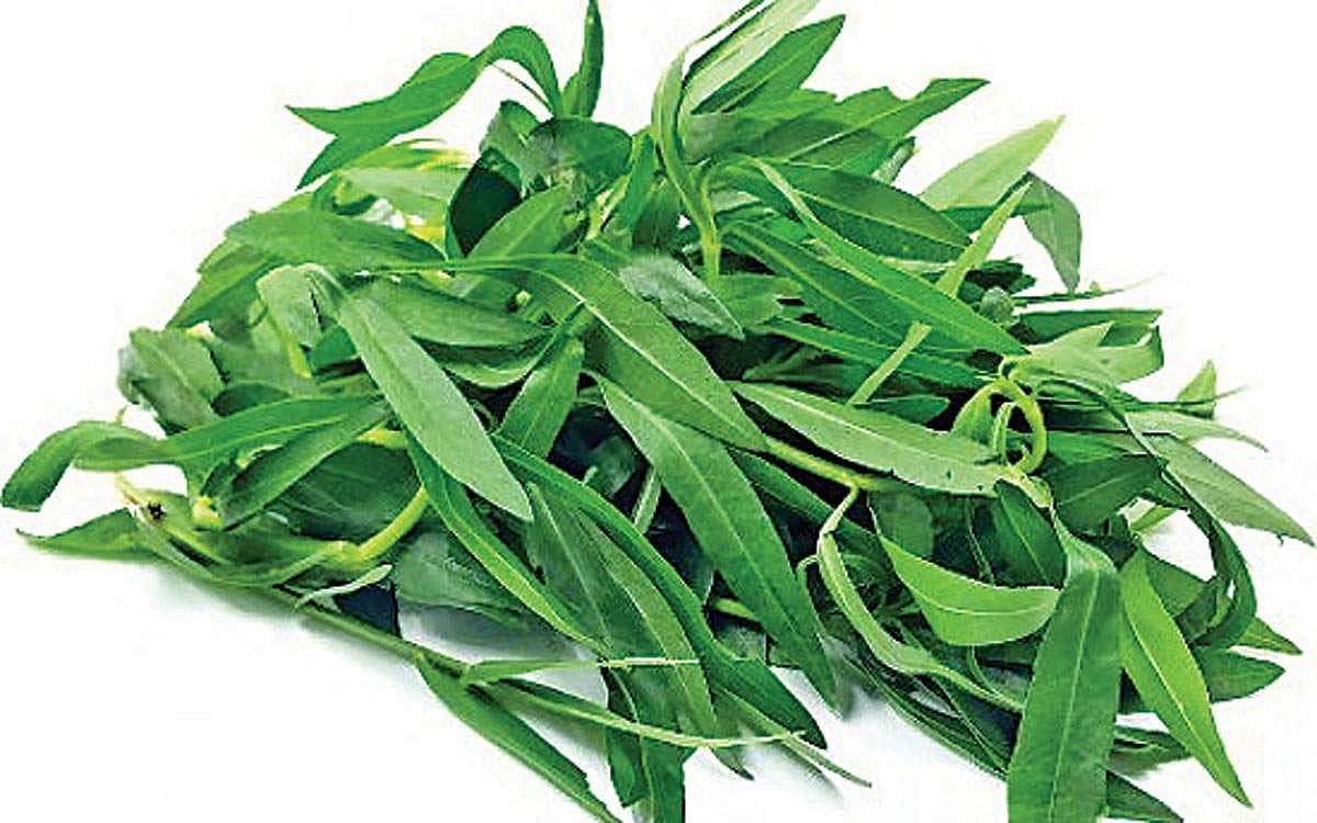 நரம்புகள் வலுப்பெற உதவும் உணவுகள்!