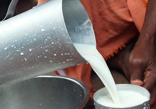 பால் உற்பத்தியைப் பெருக்குவோம்