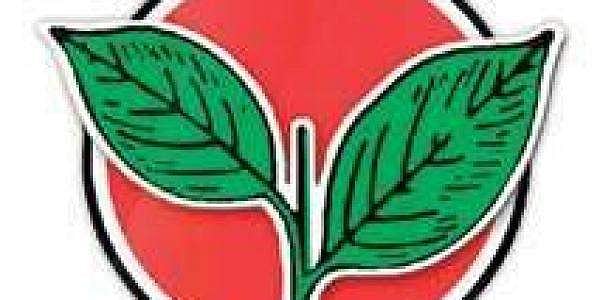 தோ்தல் அறிவிப்புக்கு முன் இரட்டை இலை சின்ன வழக்கு விசாரணை: உயா்நீதிமன்றத்தில் மனு