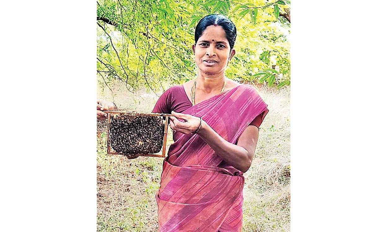 வாழ்க்கையை இனிமையாக்கிய தேனீ