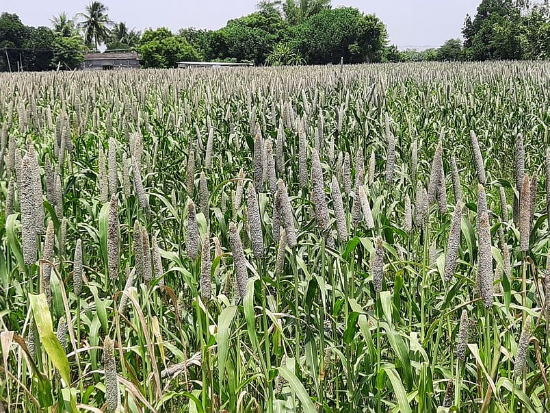 குறிஞ்சிப்பாடி: தொகுதியை மீட்குமா அதிமுக?