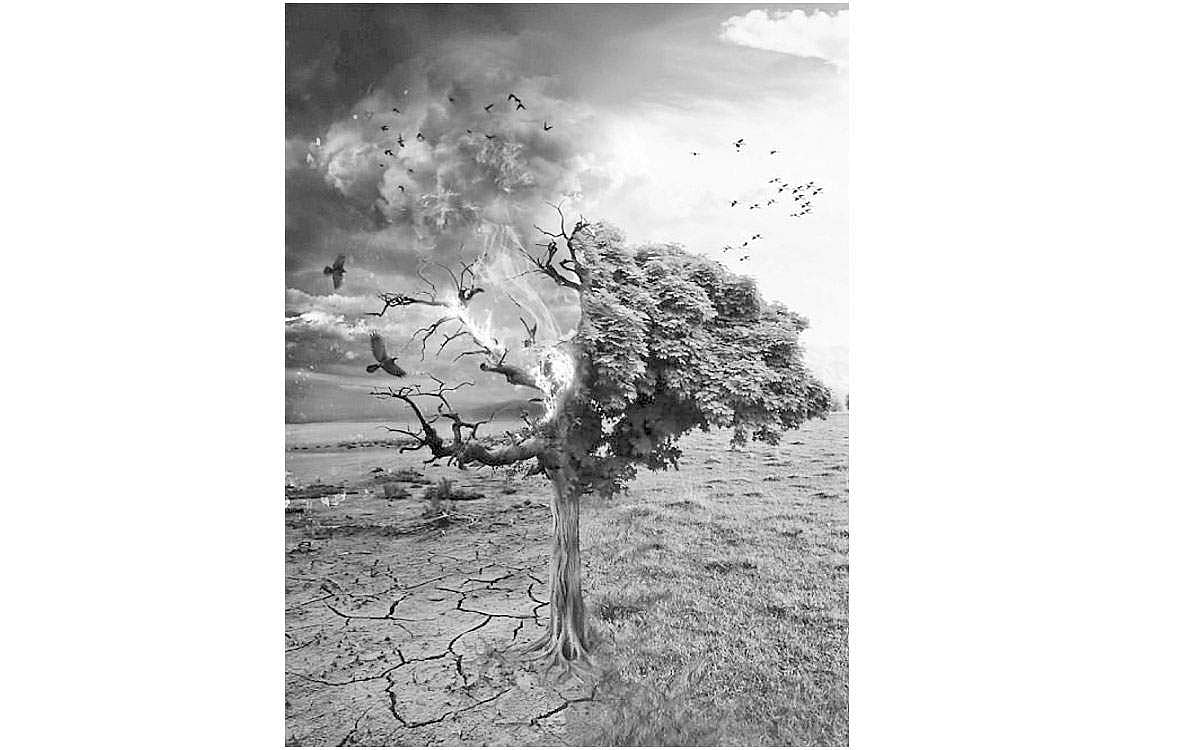 தேவையில்லை... திரைப்பட போதை!